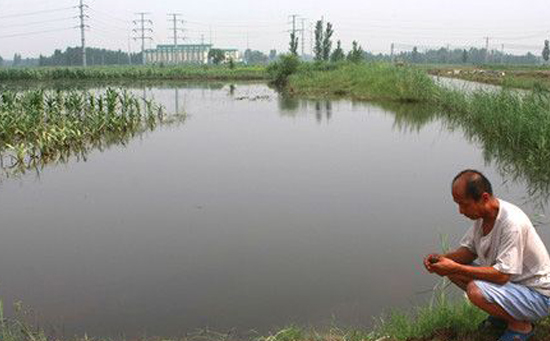 田地積水過多 田地積水過多